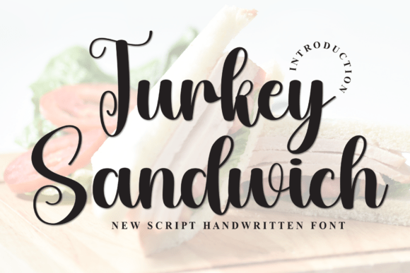 Turkey Sandwich: A Playful Display Font for Web Design